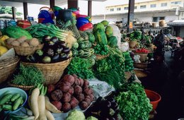 Africa;-Aubergine;-Beetroot;-Benin;-Cabbage;-Cotonou;-Former-market;-Fresh-herbs;-Ganhi-market;-Kaleidos;-Kaleidos-images;-La-parole-à-limage;-Market;-Stories-Pictures;-Tarek-Charara;-West-Africa
